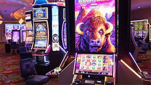 mybet login